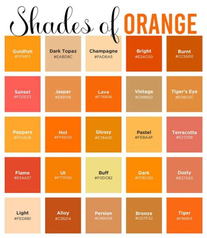 Orange with Yellow Colour: Meaning, Shades, Uses, and Color Science