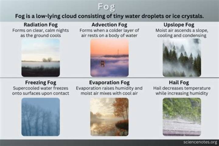 The Fog Is Coming: What It Means, Why It Happens, and What to Do