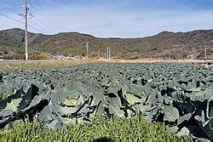 豊橋市 二川町を知る：暮らしの特徴、交通、住み替えの要点