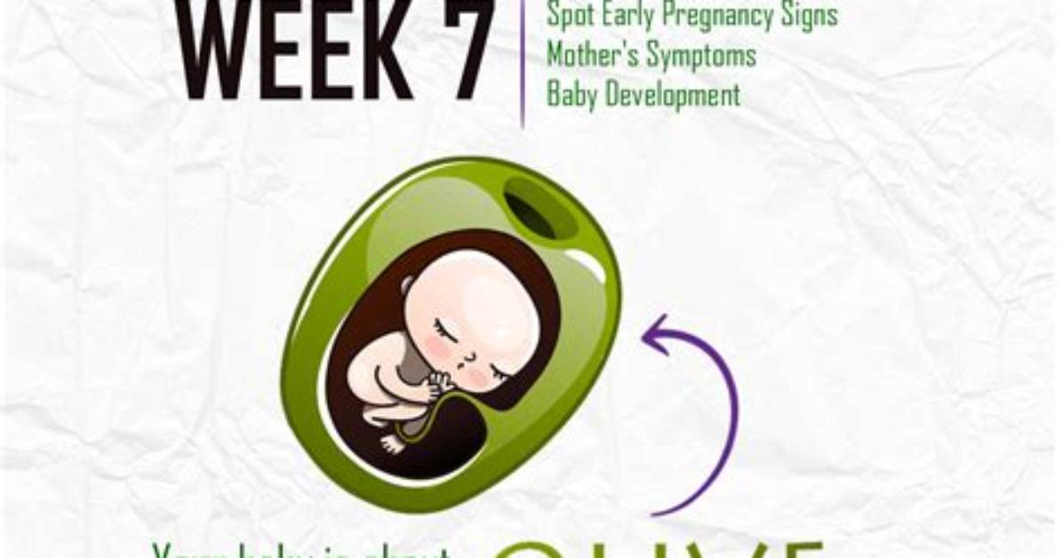 Week 7