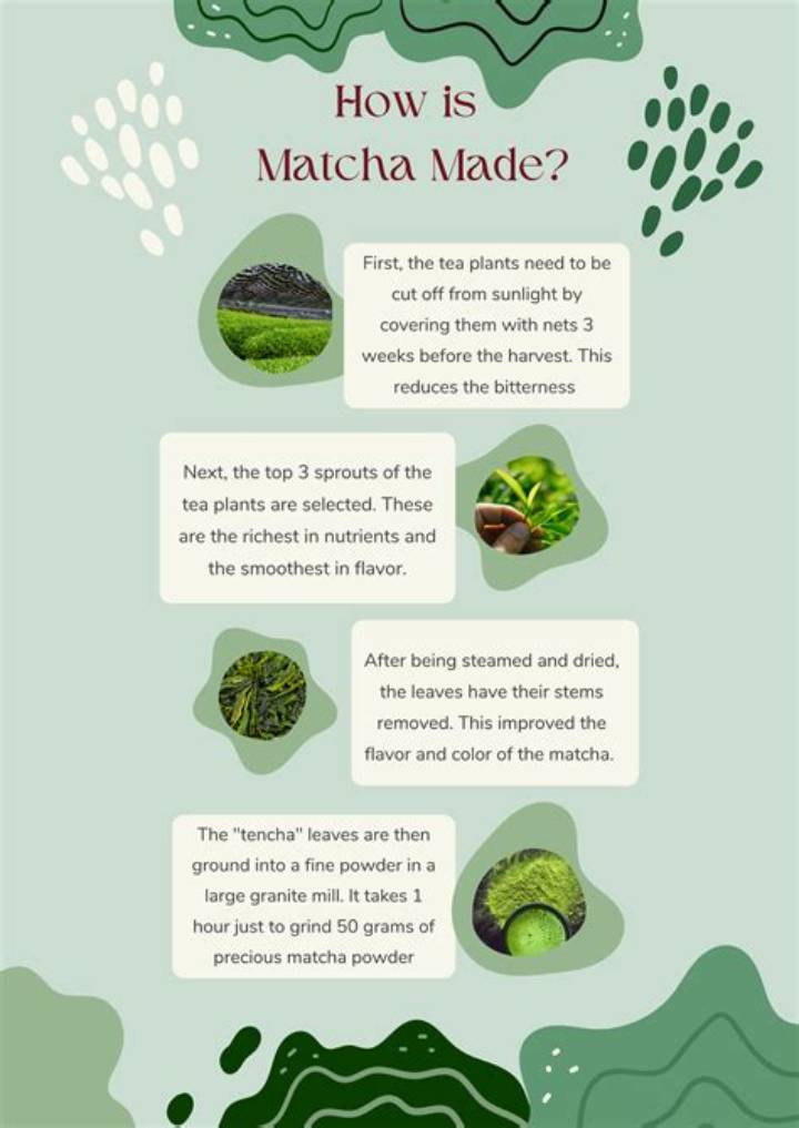 What Is Matcha Made of? Ingredients, Origins, and What’s in Your Cup